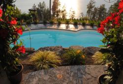 Our In-ground Pool Gallery - Image: 60