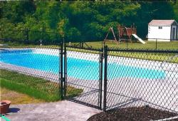 Inspiration Gallery - Pool Fencing - Image: 137