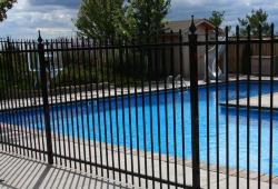 Inspiration Gallery - Pool Fencing - Image: 141