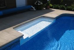 Inspiration Gallery - Pool Tanning Ledges - Image: 170